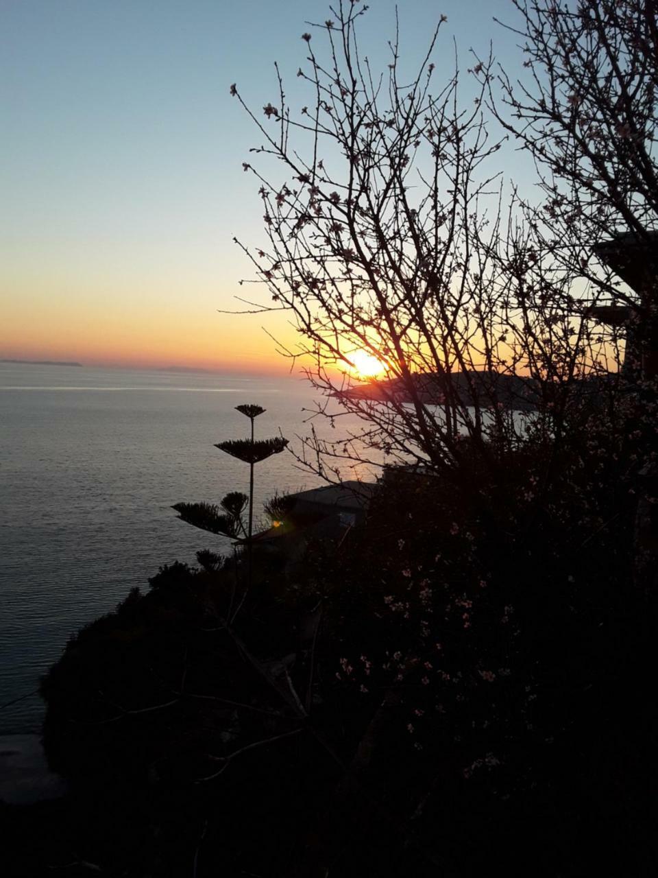 Odhisea Hotel Restaurant Κηπαρό Εξωτερικό φωτογραφία
