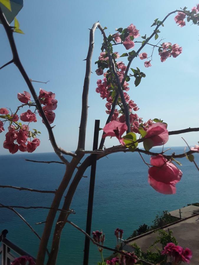 Odhisea Hotel Restaurant Κηπαρό Εξωτερικό φωτογραφία
